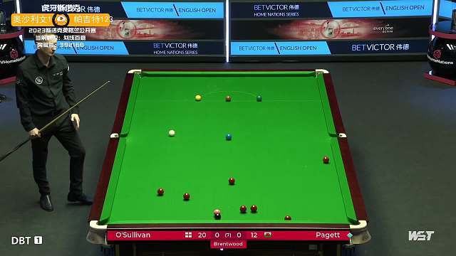 贡献和未来 贡献和未来