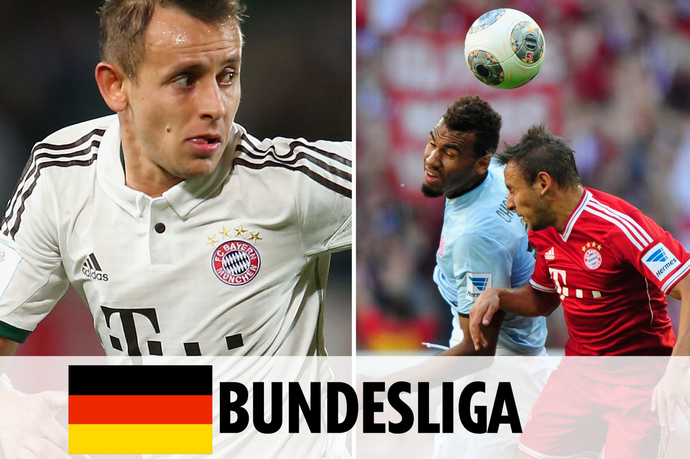 培养模式 培养模式